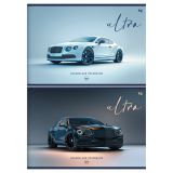 Альбом для рисования 40л., А4, на скрепке BG "Ультра", выб. лак