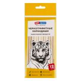 Набор карандашей ч/г ArtSpace "Графика", 12шт., 2H-2B, заточен., пакет, европодвес