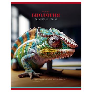 Тетрадь предметная 40л. BG Тетрадь предметная 40л. BG