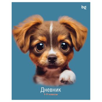 Дневник 1-11 кл. 40л. на скобе BG 