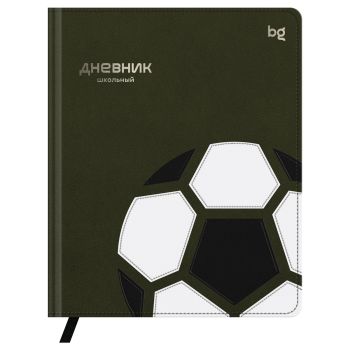 Дневник 1-11 кл. 48л. (твердый) BG 