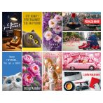 Конверт для денег Горчаков ГК "Ассорти №46", 84*168мм, 10 дизайнов